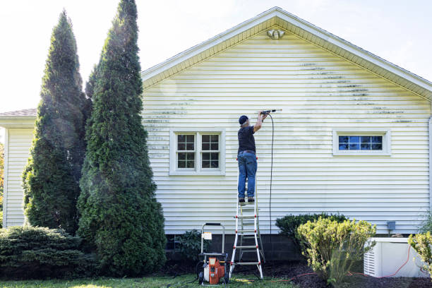 Trusted Pinch, WV Pressure Washing Services Experts
